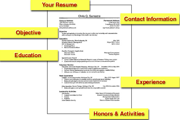 Bachelor Degree Resume Sample | Free Resume Example And Writing 