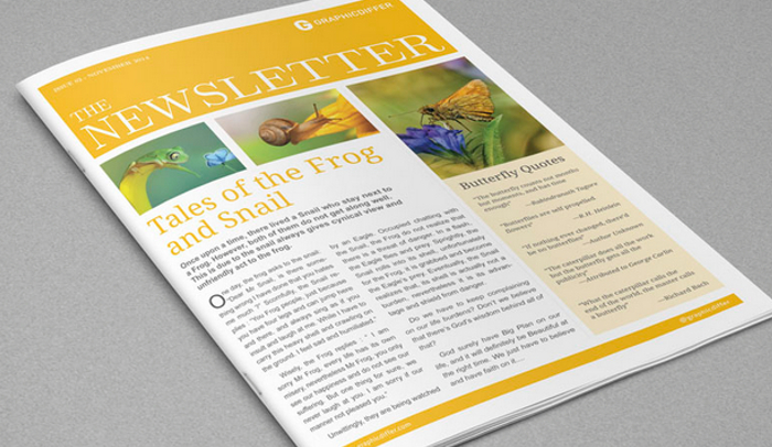 4 Adobe Indesign Newsletter Templates | AF Templates