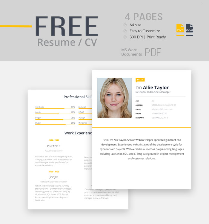 30+ Best Free Resume Templates in PSD, AI, Word DocX
